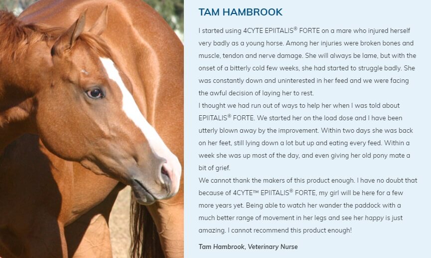 Tam Hambrook Veterinary Nurse Testimonial