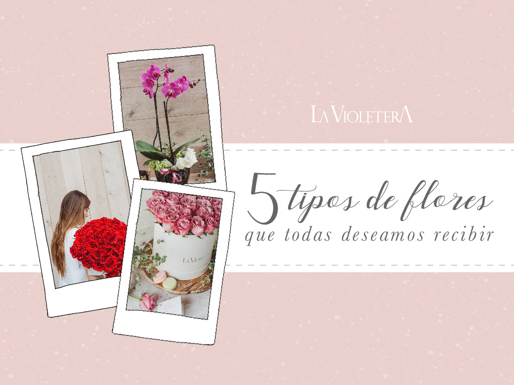 5 tipos de flores que todas deseamos recibir – La Violetera