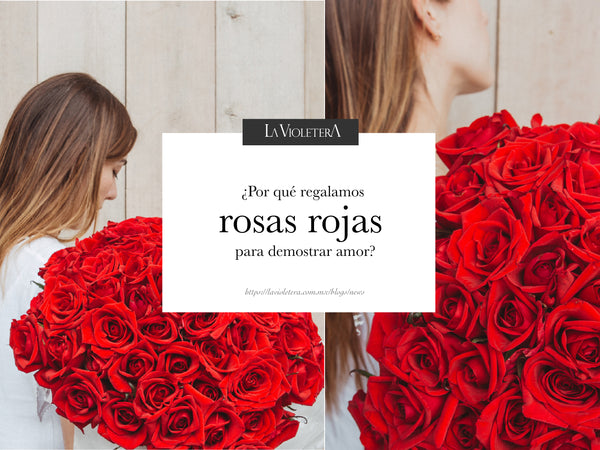 Por qué regalamos rosas rojas cuando queremos demostrar amor? – La Violetera