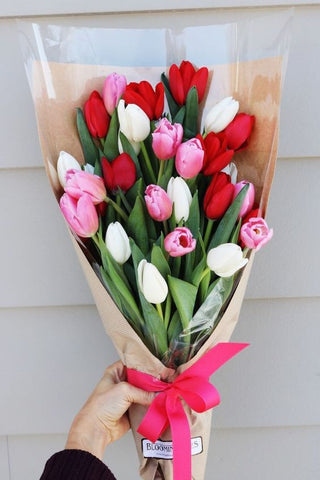 5 razones para regalar tulipanes – La Violetera