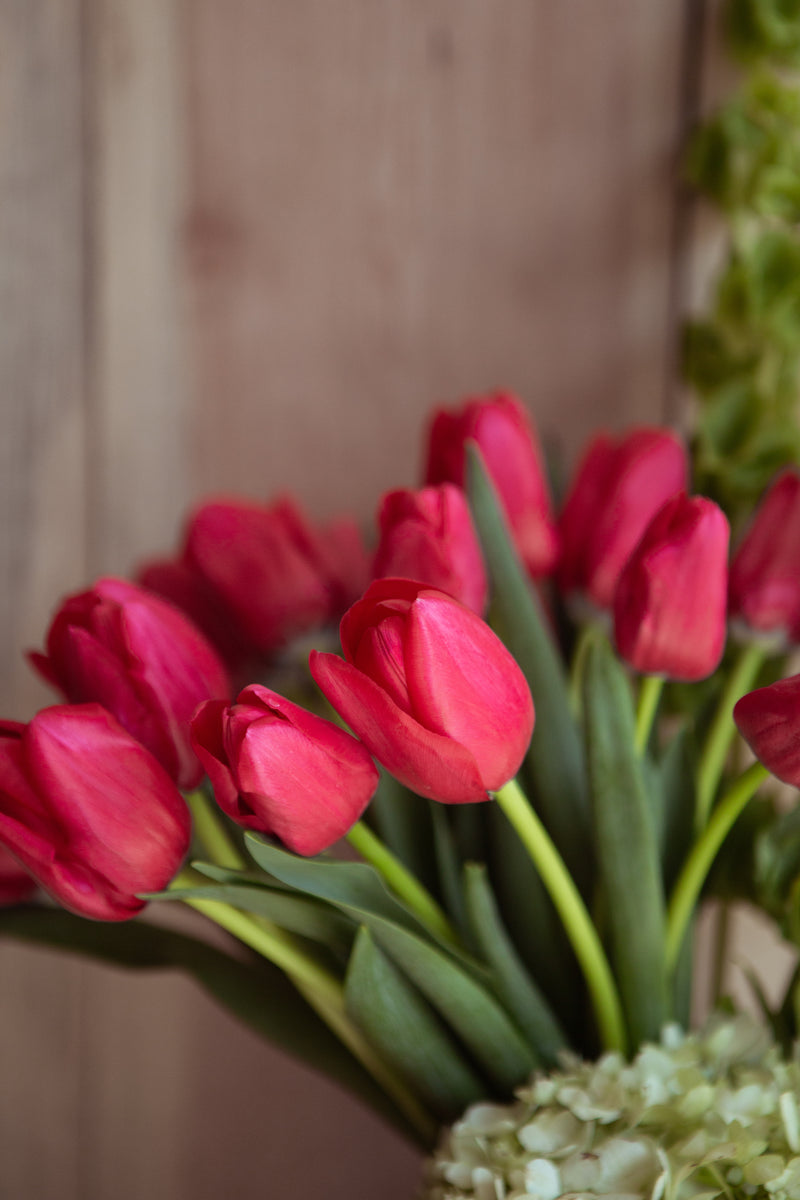 Tulipanes | Flores a Domicilio | Florería en Monterrey – La Violetera