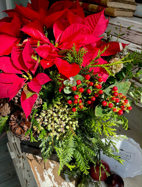 Natalia, caja con nochebuena en planta decorada. – La Violetera