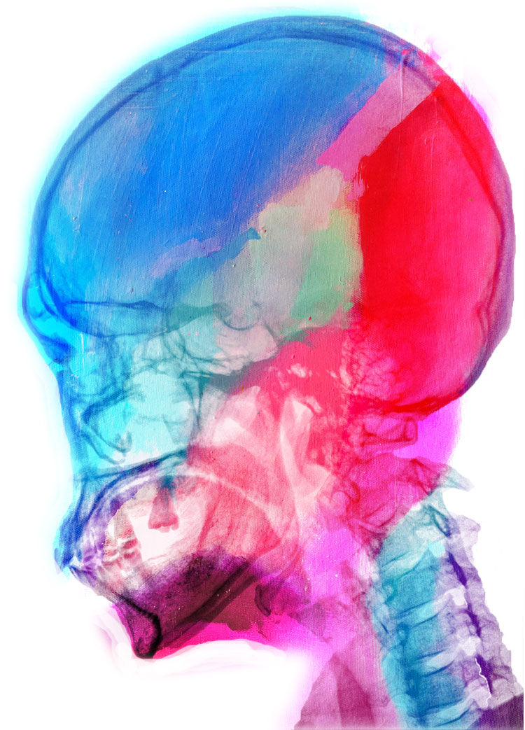 Watercolour human skull