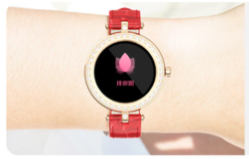 Montre connectée femme intelligente smartwatch téléphone sms - My Féerie