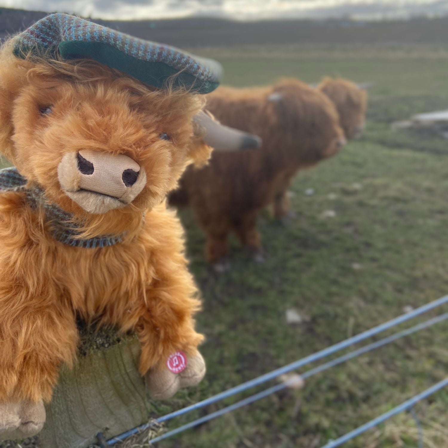 highland cow dog toy