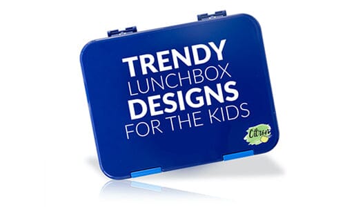 trendy lunch box