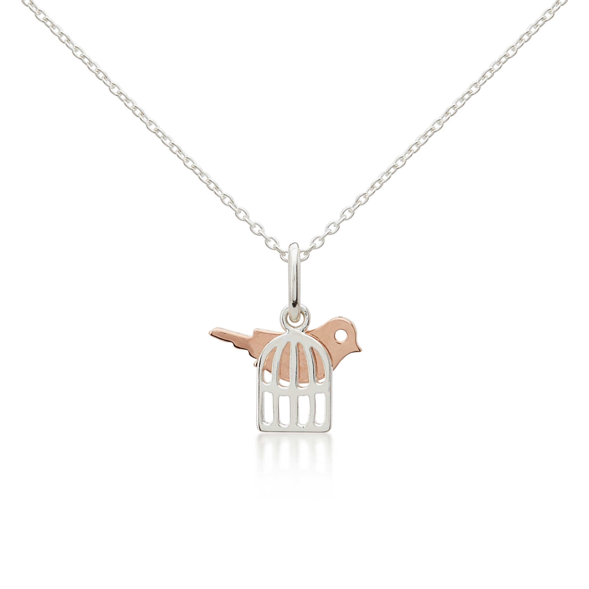 Bird in a Cage Two-Toned Necklace | My Little Silver
