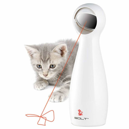 petsafe cheese automatic cat toy