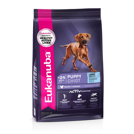 Eukanuba clearance cheapest price