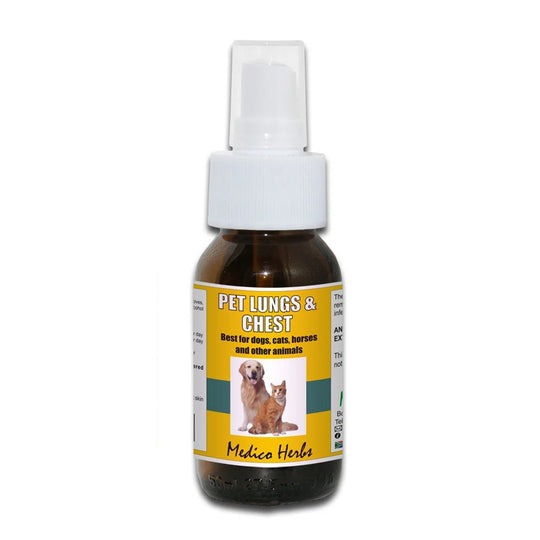 Buy Natural Remedies for Dogs Online