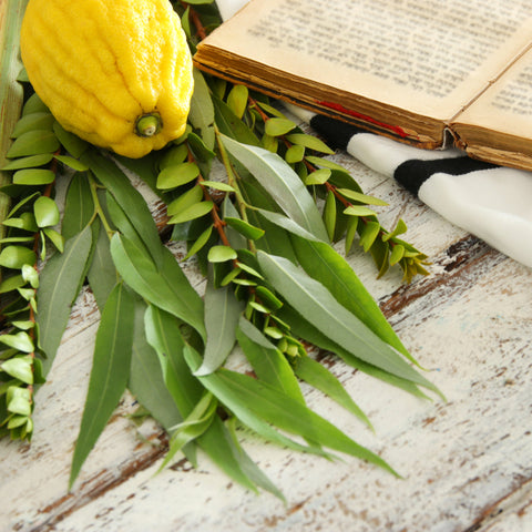 Healthy Gift Baskets Sukkot Jewish Holiday