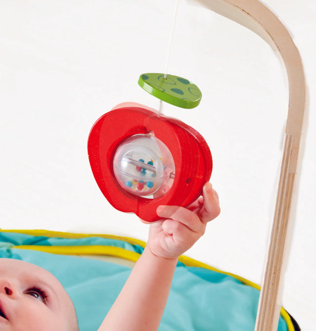 hape portable baby gym