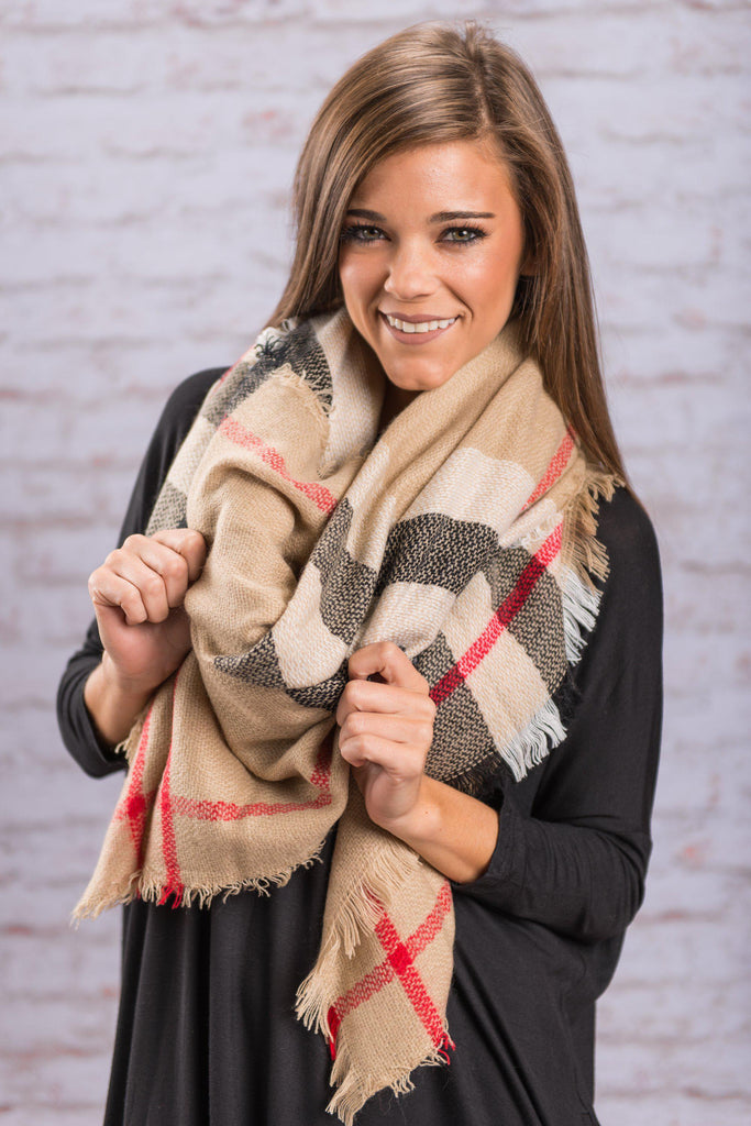 Dreamy Fall Days Scarf, Taupe – The Mint Julep Boutique