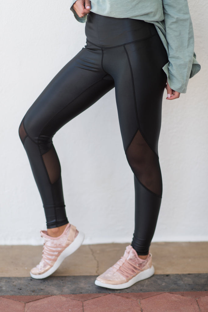 Wild Dreams Leggings, Black – The Mint Julep Boutique