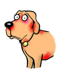 Cartoon dog with symptoms of itchiness and mange.