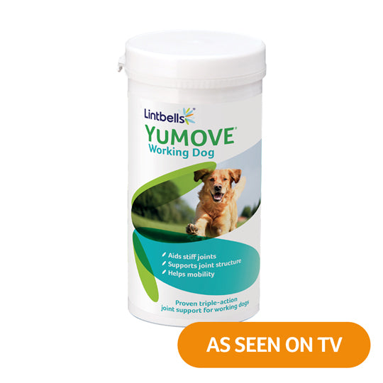 yumove advance 360 for dogs