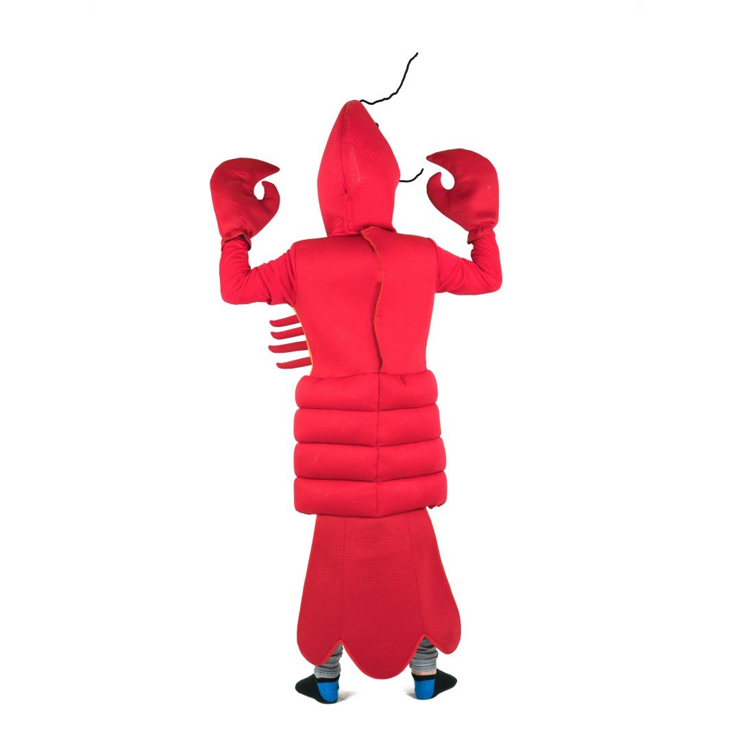 Kids Lobster Costume – Bodysocks US
