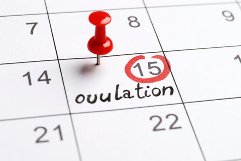 using a calender to predict ovulation