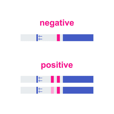 what does a positive pregnancy test strip look like