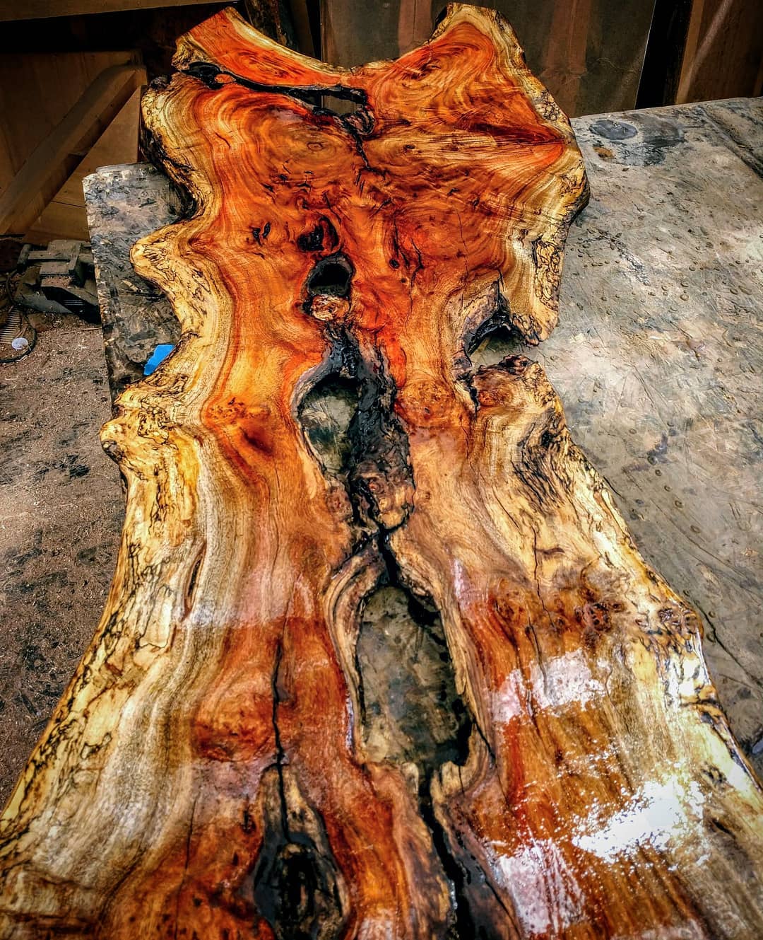 Live Edge Wooden Slab