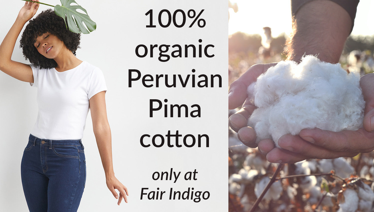 100% organic cotton clothing - organic Pima cotton clothes fair trade ethically made