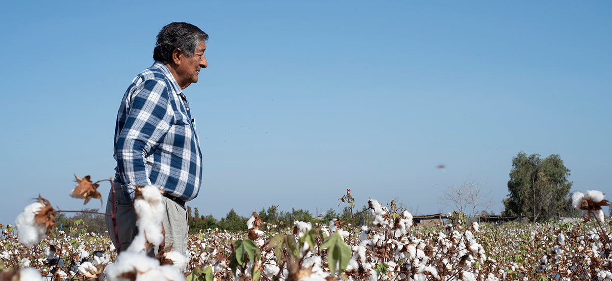 Organic cotton farmer