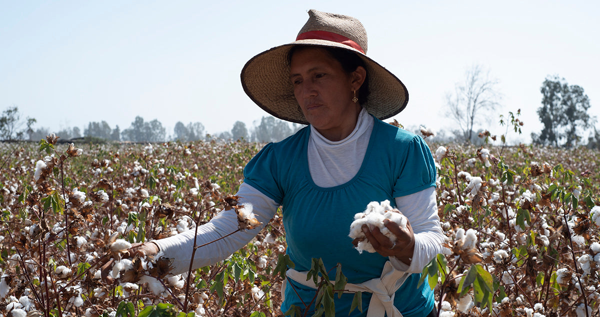 Organic cotton farmer