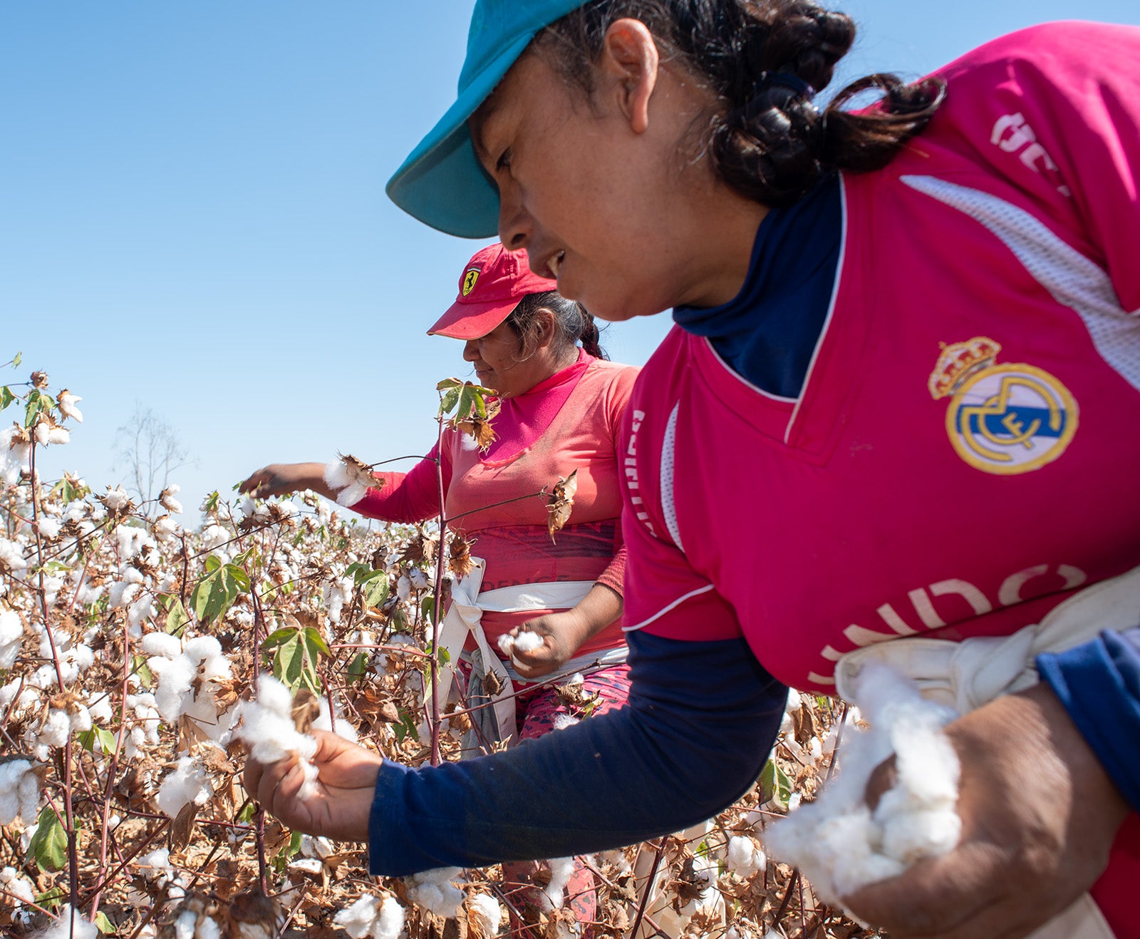 organic cotton clothing - pima cotton from Peru - ethically made fair trade cotton