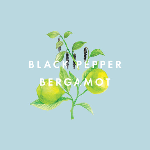 Black Pepper & Bergamot Essential Oil Blend 10ml