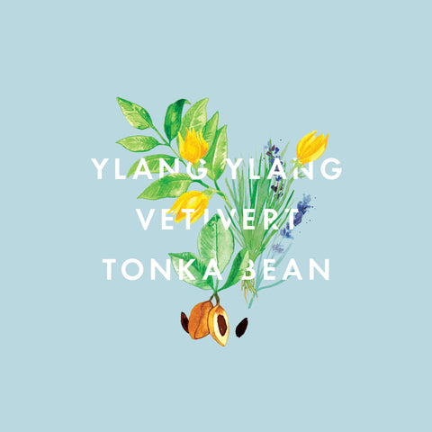 Ylang Ylang, Vetivert & Tonka Bean Essential Oil Blend 10ml