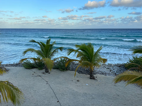 ham radio, beach, vertical antenna, phased array, zf2b, kl2a