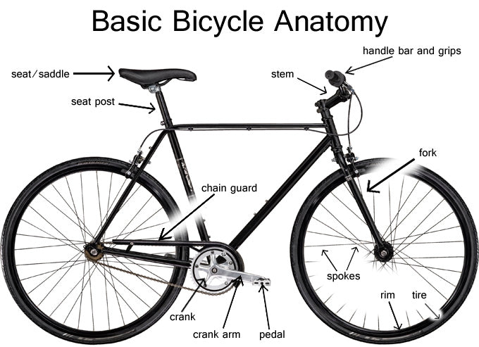 Best Commuter Bike Buying Guide & other tips to enjoy Commuting to wor –  Velosock Bike Covers