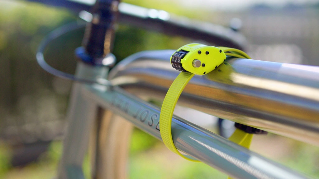 bike lock dollar tree