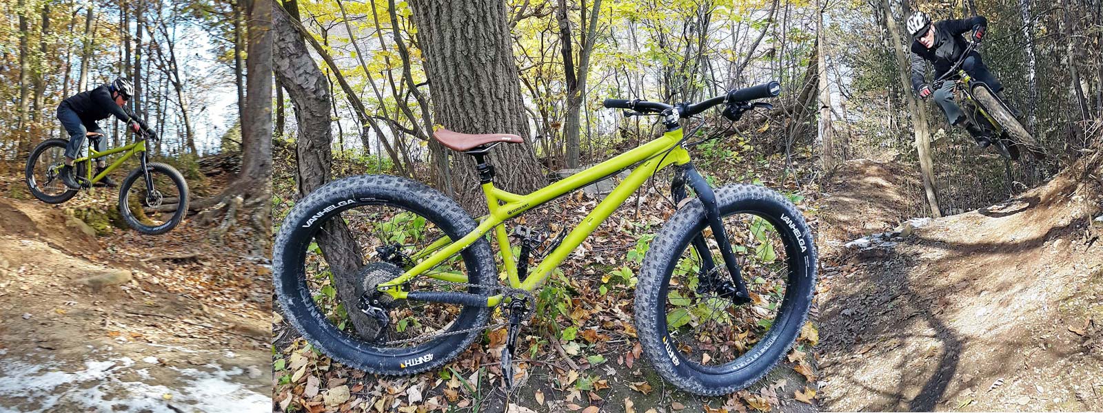 rsd fat bike