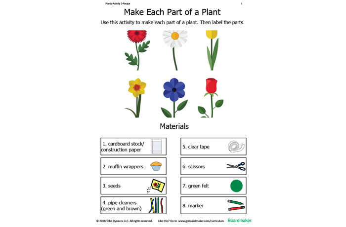 32-label-the-part-of-a-plant-labels-design-ideas-2020