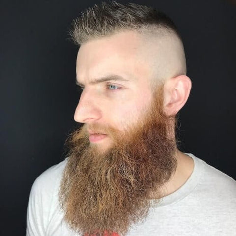 Viking Beards 