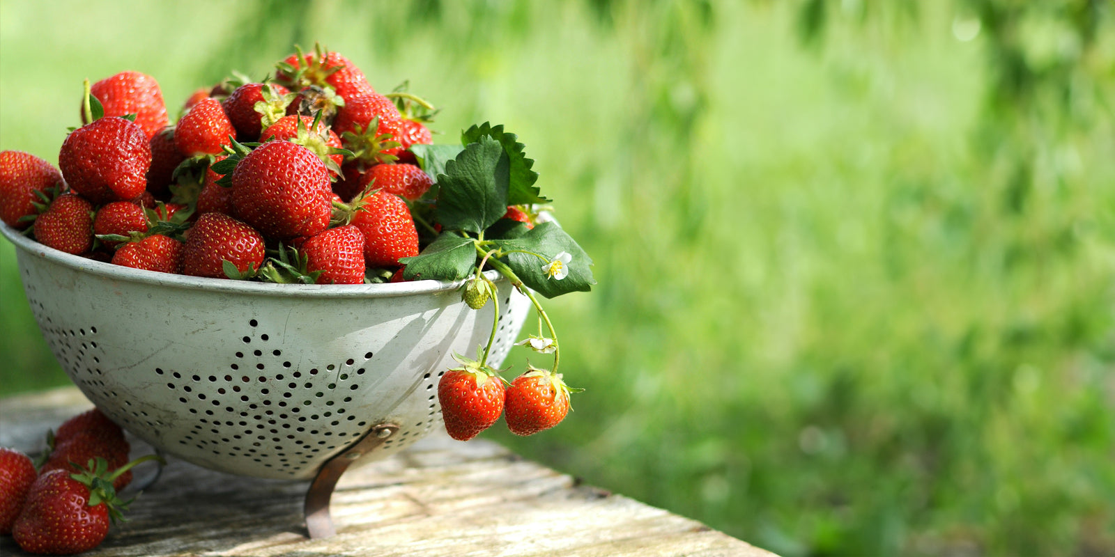 Strawberries from our own garden