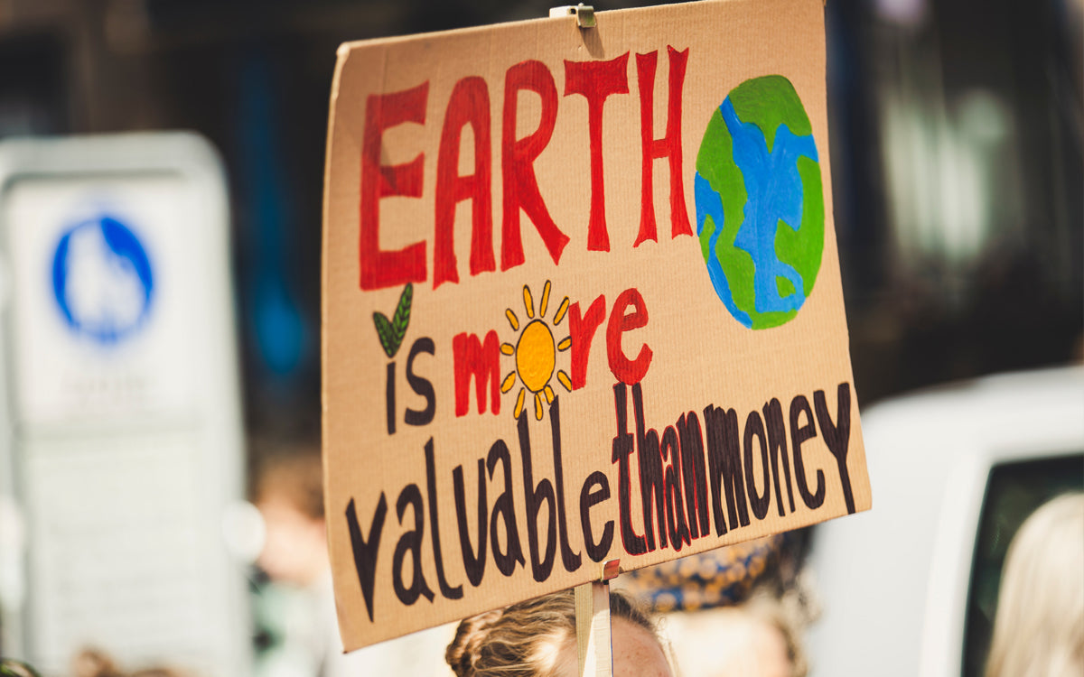 The earth is worth more than money