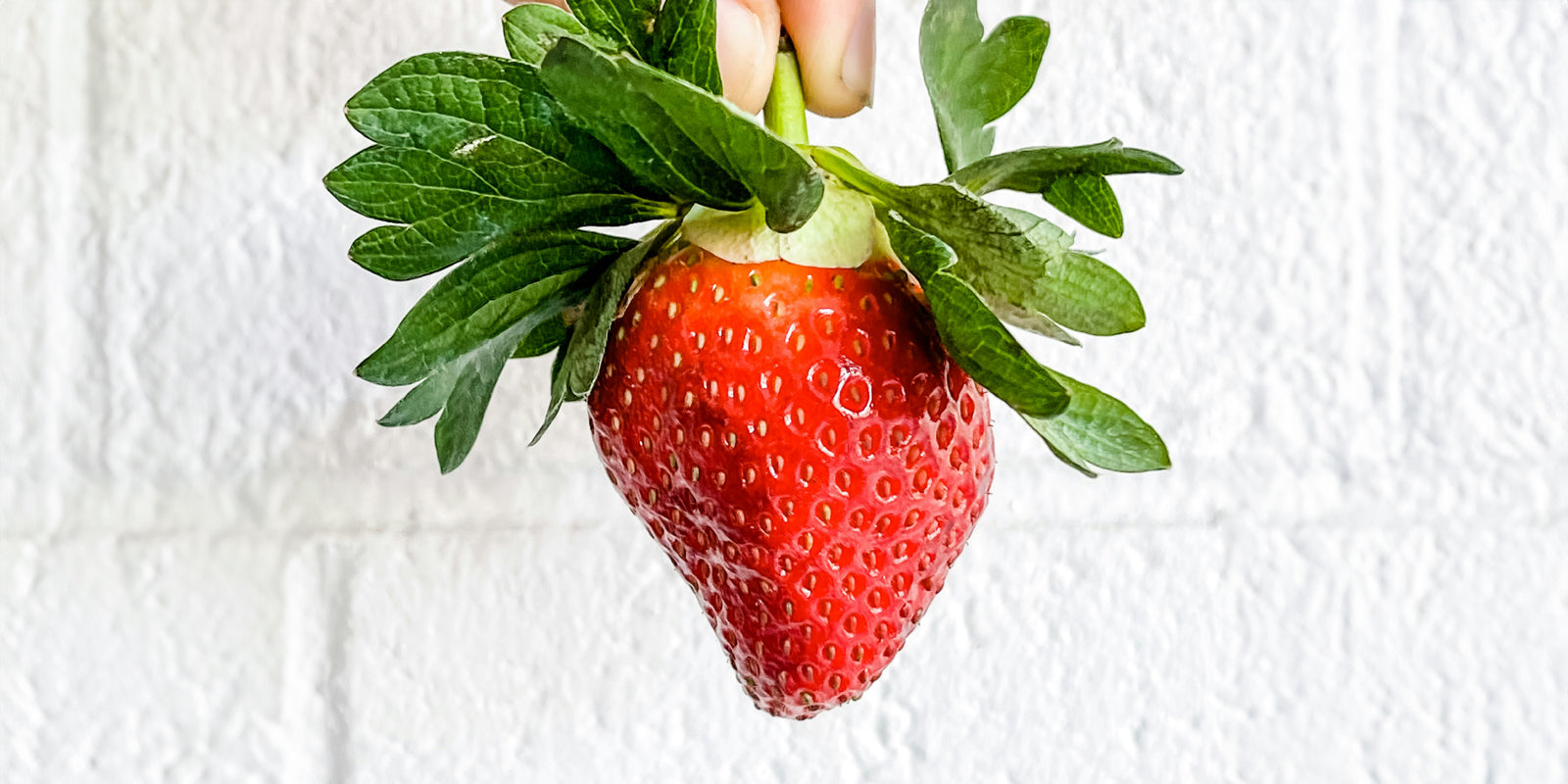 Biggest strawberry