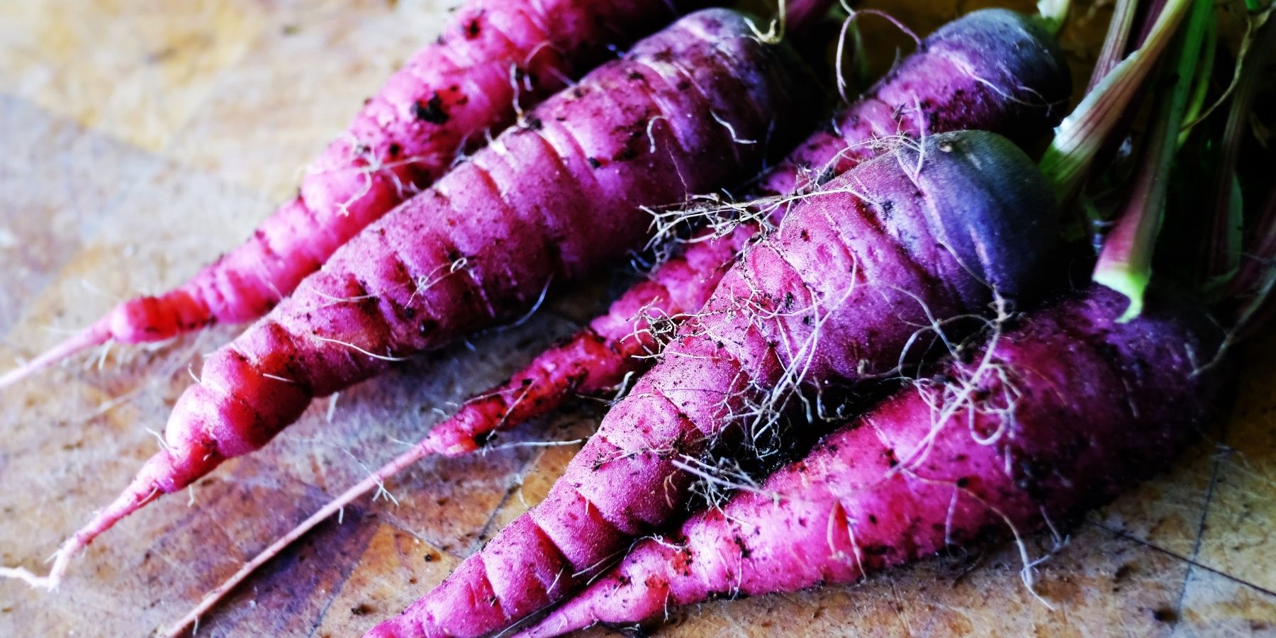 Purple carrots