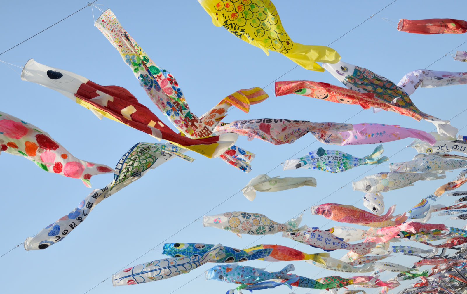 Koinobori carp flags