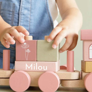 Little Dutch wooden toys