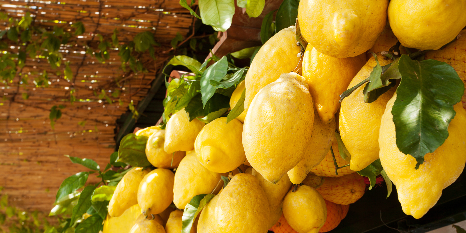 Italian lemons