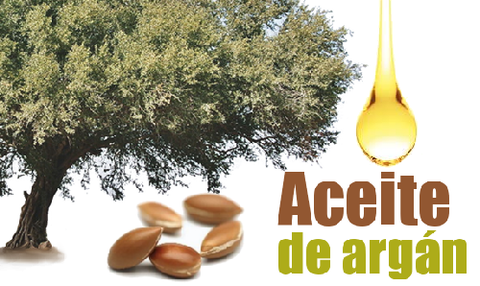 Arbol de argan