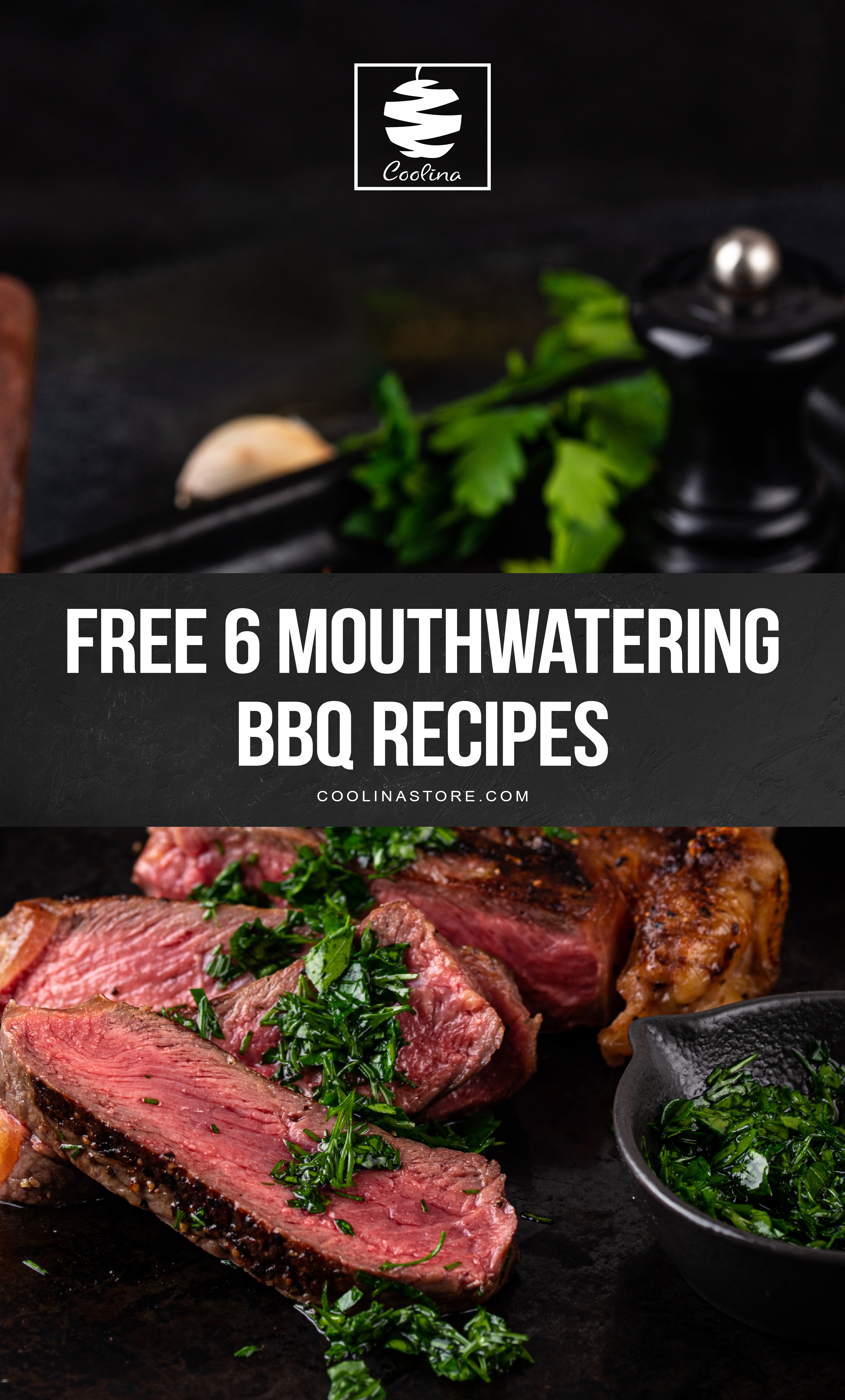 https://cdn.shopify.com/s/files/1/0028/3698/8016/files/FREE_6_Mouthwatering_BBQ_Recipes_02.png?v=1690373996