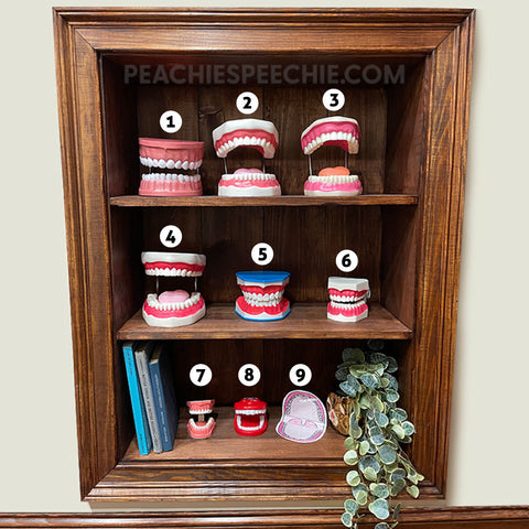 Mouth Models for Speech Therapy