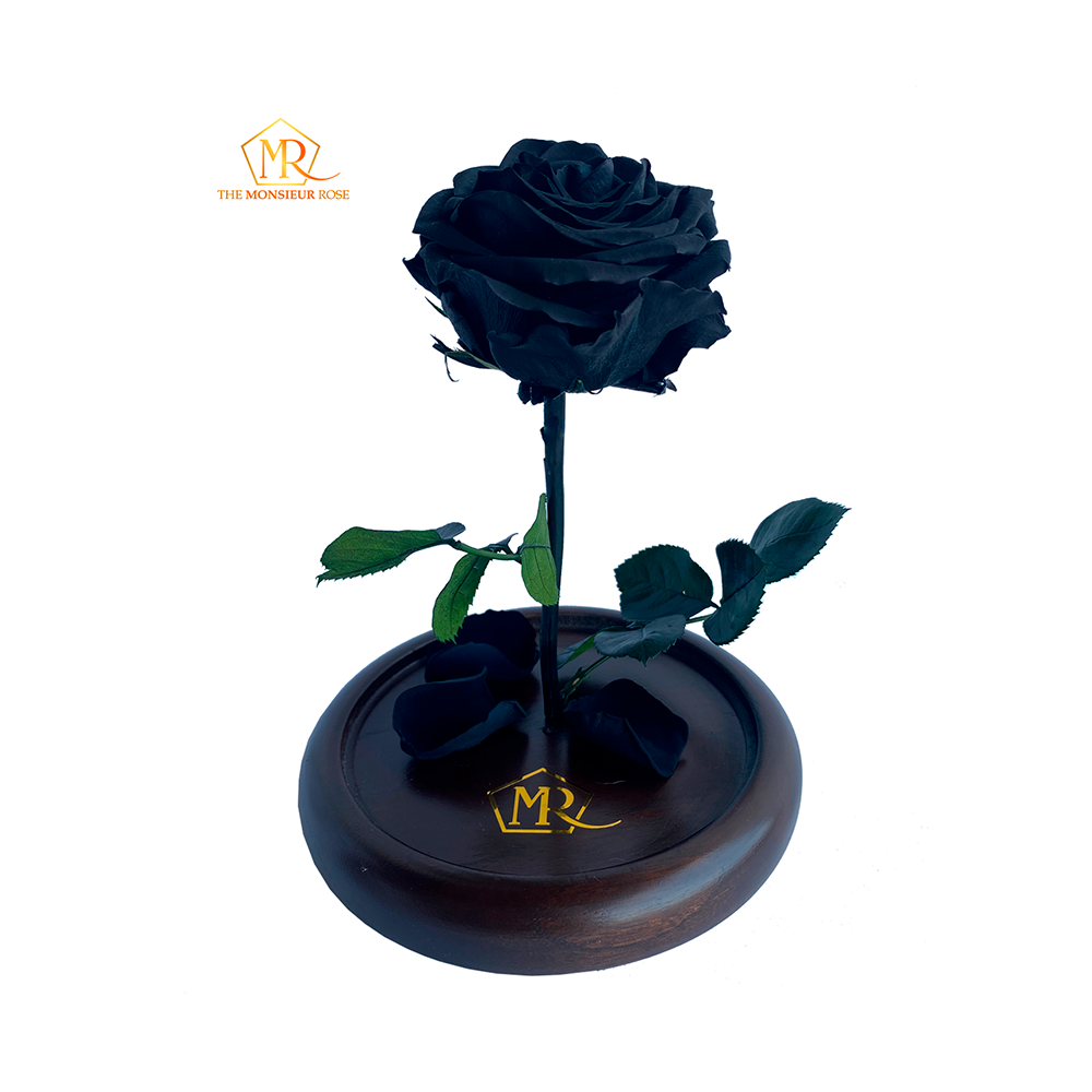 Rosa Eterna Negra | The Monsieur Rose