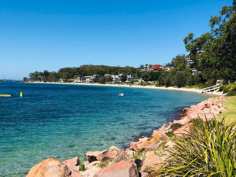 Best dog friendly beaches in Sydney Rose Bay Beach