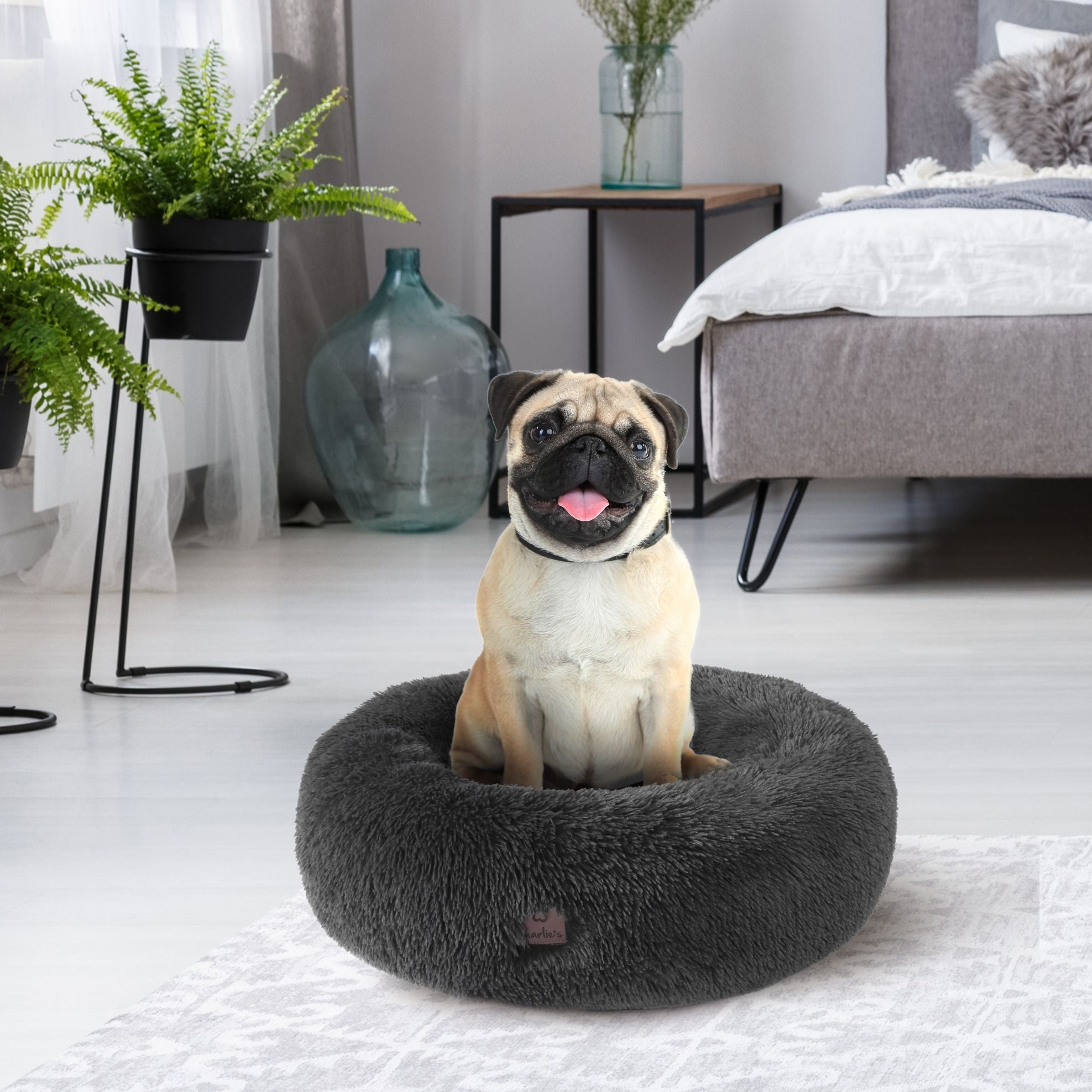 Best Dog Beds Dog Trampoline Bed Luxury Dog Beds Australia