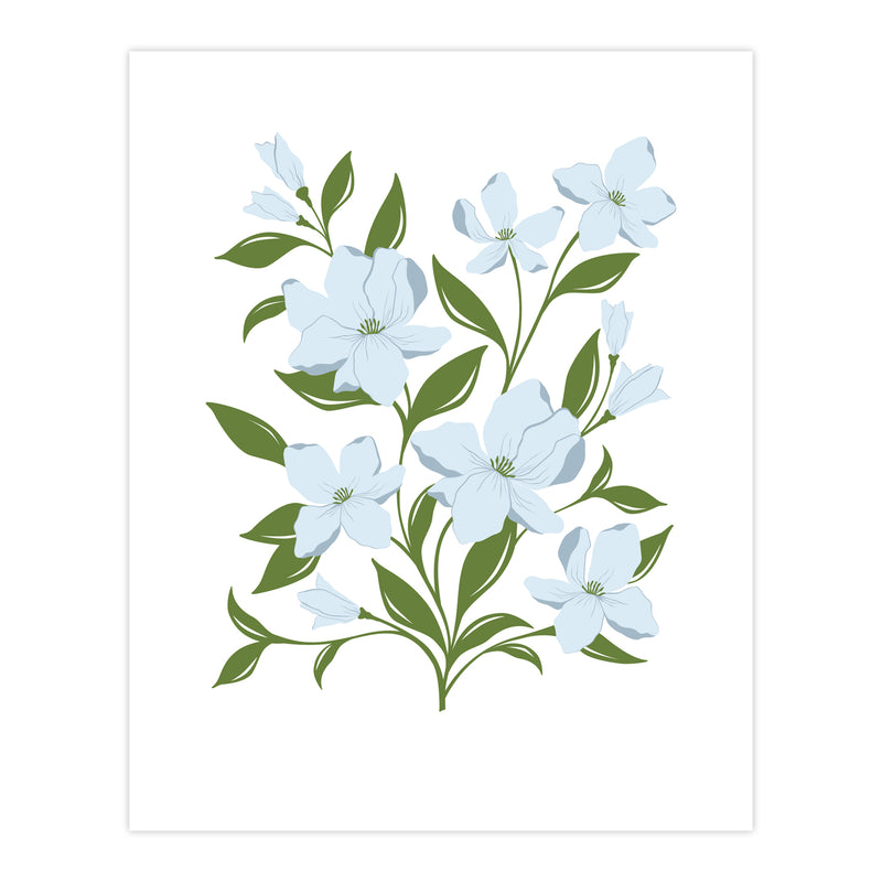 dogwood flower illustration